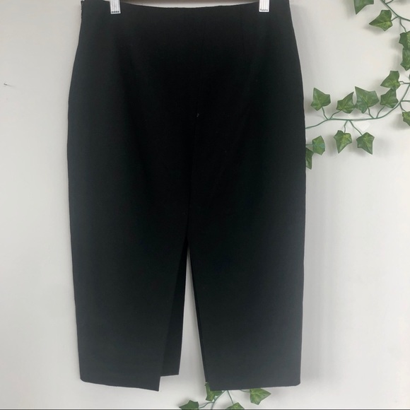 Babaton (aritzia) skirt - Picture 4 of 4